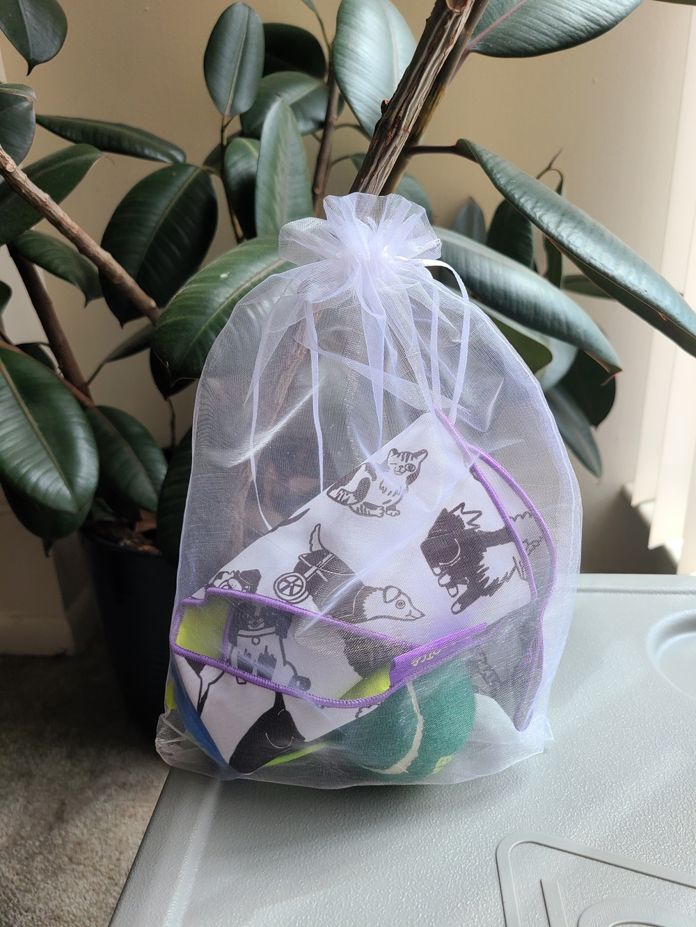 10 Boots & Barkley Pet•Accessory•Pack